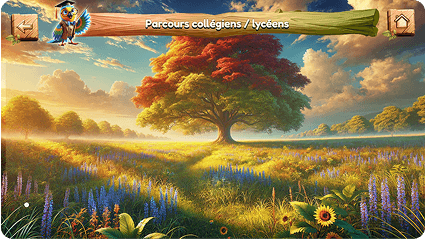 Collégiens / lycéens